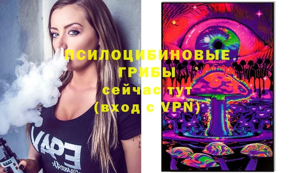 ПСИЛОЦИБИНОВЫЕ ГРИБЫ Алексеевка