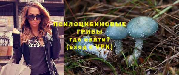 бошки Алексин