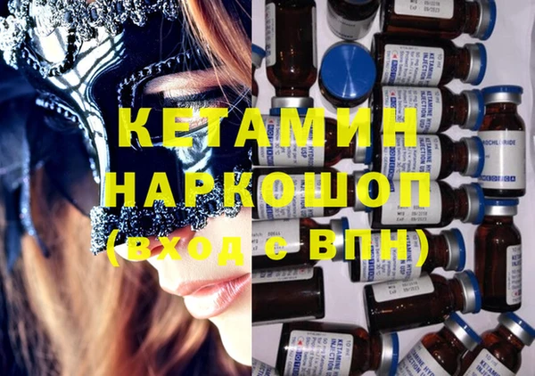 дурь Няндома