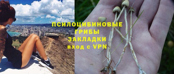 бошки Алексин
