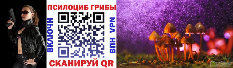 Галлюциногенные грибы Cubensis Тимашёвск