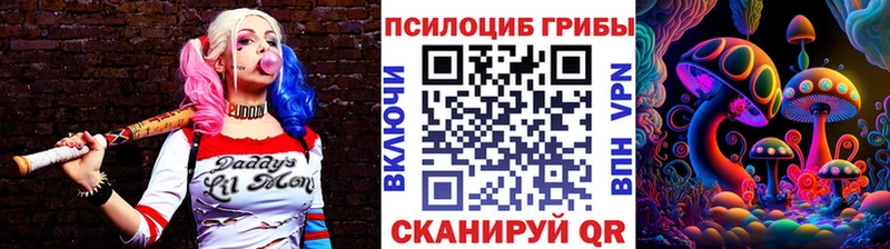 Псилоцибиновые грибы мицелий  сколько стоит  Тимашёвск 
